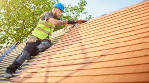 Best Emergency Roof Repair Services  in Ricardo, TX