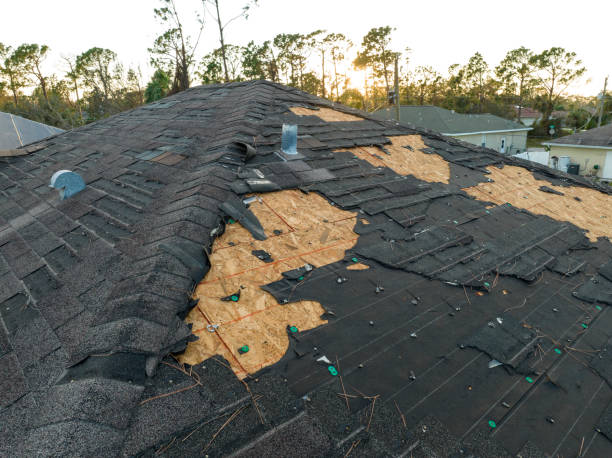 Waterproofing in Ricardo, TX