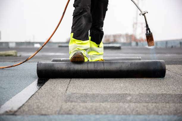 Best 4 Ply Roofing  in Ricardo, TX