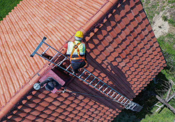 Best Roof Leak Repair  in Ricardo, TX