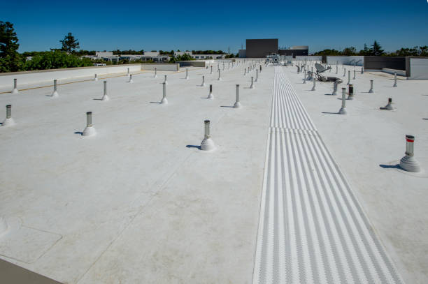 Best Storm Damage Roof Repair  in Ricardo, TX